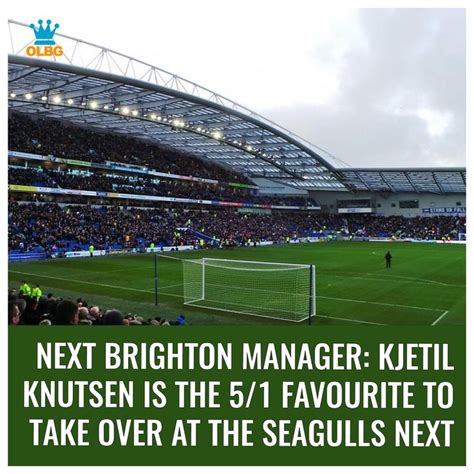 brighton next manager odds|kjetil knutsen.